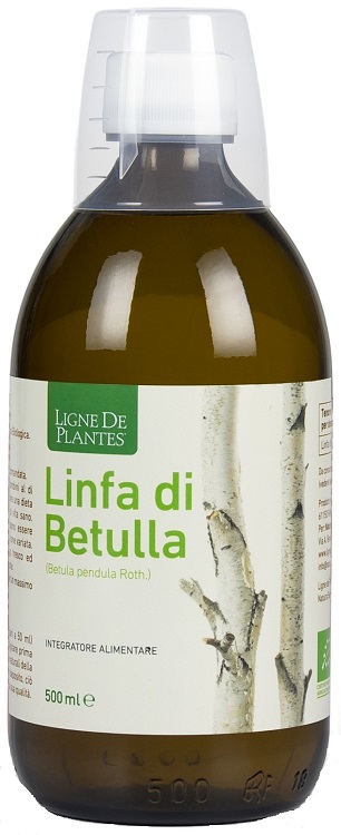 LINFA BETULLA 500 ML - Fontenova srl