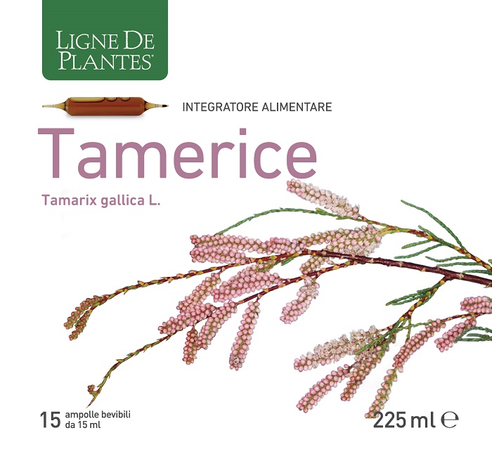 TAMERICE 15 AMPOLLE 15 ML - Fontenova srl