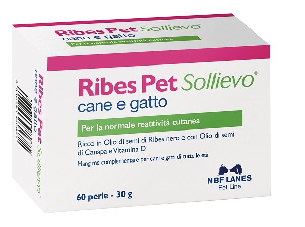RIBES PET SOLLIEVO BLISTER 60 PERLE - Fontenova srl