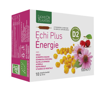 ECHI PLUS ENERGIE 10 AMPOLLE DA 10 ML - Fontenova srl
