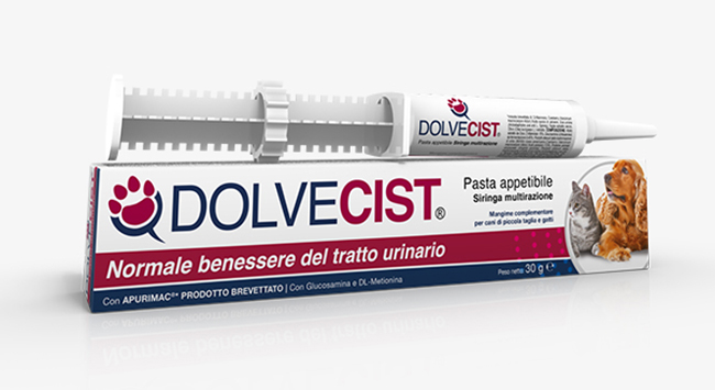 DOLVECIST PASTA SIRINGA 30 G - Fontenova srl