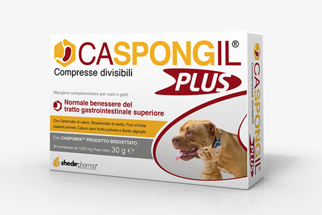 CASPONGIL PLUS 30 COMPRESSE - Fontenova srl
