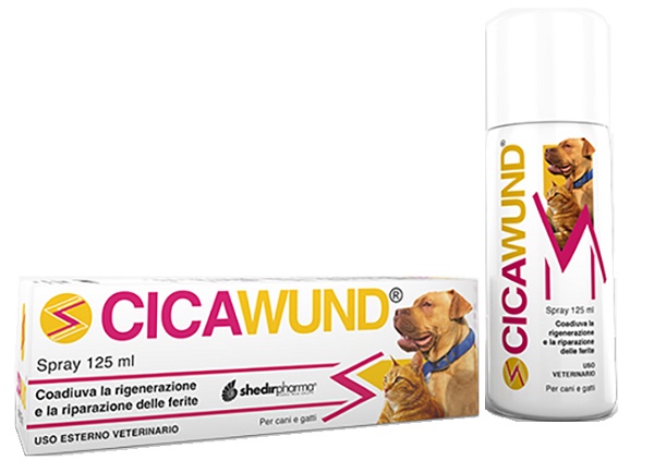 CICAWUND SPRAY 125 ML - Fontenova srl