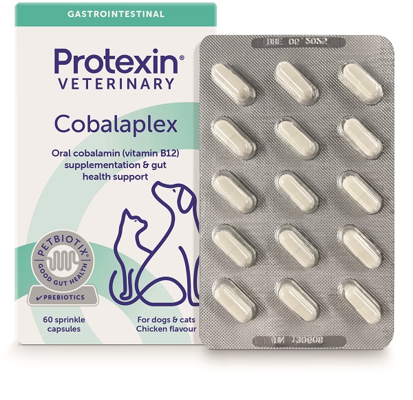 COBALAPLEX 60 CAPSULE - Fontenova srl