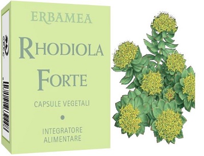 RHODIOLA FORTE 24 CAPSULE - Fontenova srl
