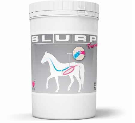 SLURP TREATMENT 800 G - Fontenova srl