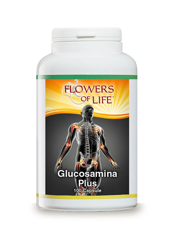 GLUCOSAMINA PLUS 100 CAPSULE FLOWERS OF LIFE - Fontenova srl