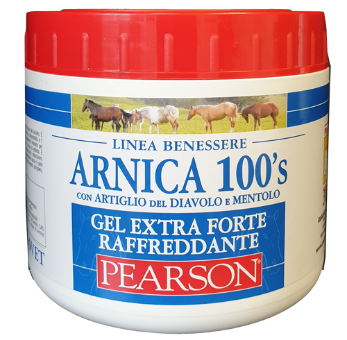 ARNICA 100'S EXTRA FORTE 500 ML - Fontenova srl