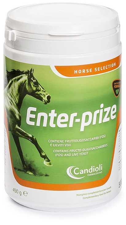 ENTER-PRIZE BARATTOLO 450 G - Fontenova srl
