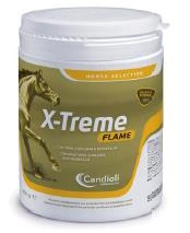 X-TREME FLAME POLVERE BARATTOLO 450 G - Fontenova srl