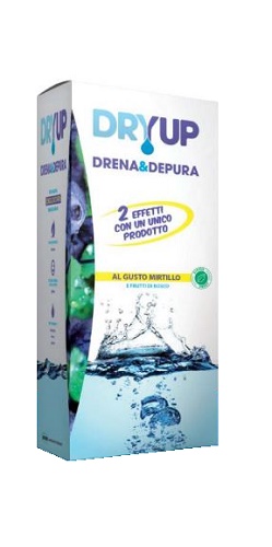 DRYUP MIRTILLO 300 ML - Fontenova srl