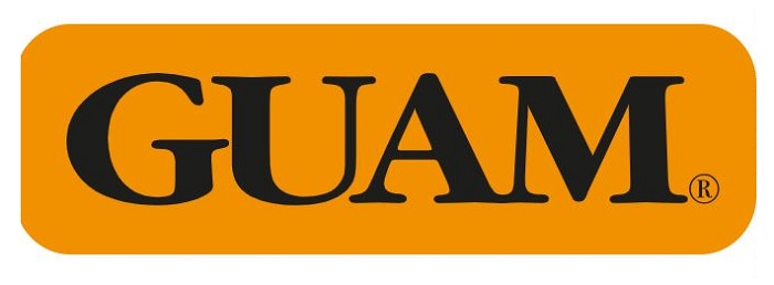 GUAM PANTY VENTRE PIATTO SNELLENTE S-M 42-44 - Fontenova srl