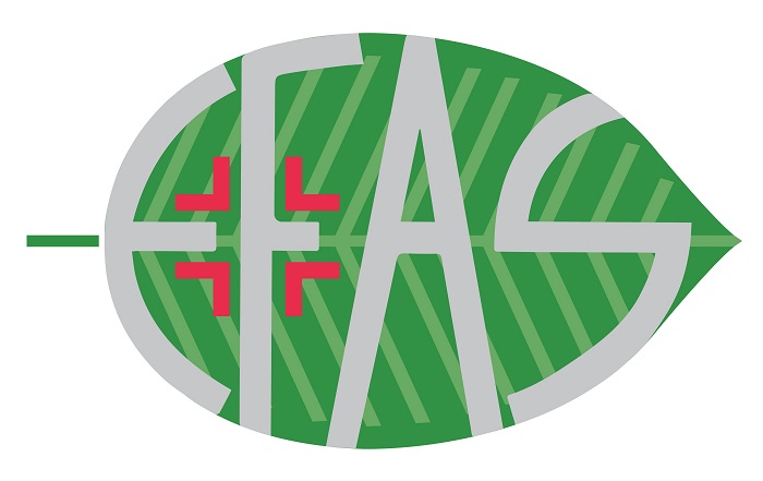 HA100 ACIDO IALURONICO 100% 30 ML - Fontenova srl