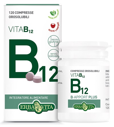 B APPORT VITAMINA B12 120 COMPRESSE OROSOLUBILI - Fontenova srl