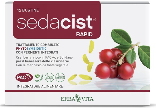 SEDACIST RAPID 6 + 6 BUSTINE - Fontenova srl