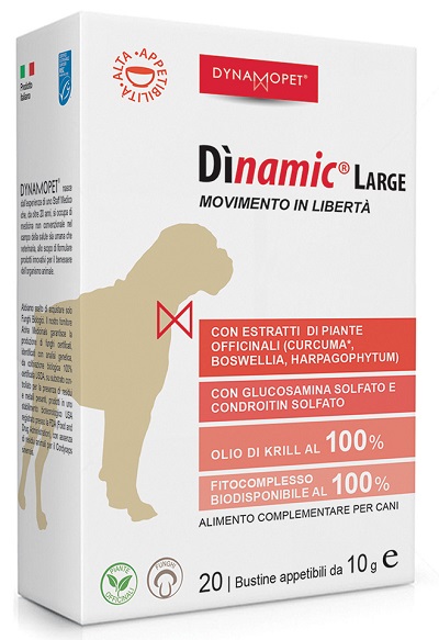 DINAMIC LARGE 20 BUSTINE 10 G - Fontenova srl