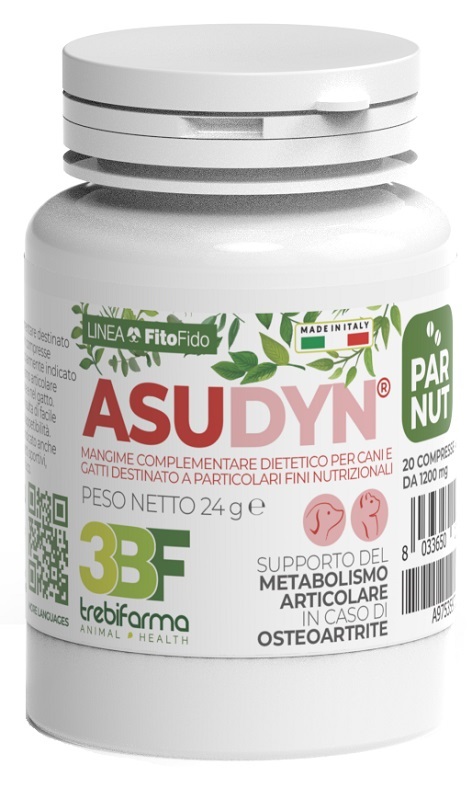 ASUDYN BARATTOLO 20 COMPRESSE 1200 MG - Fontenova srl