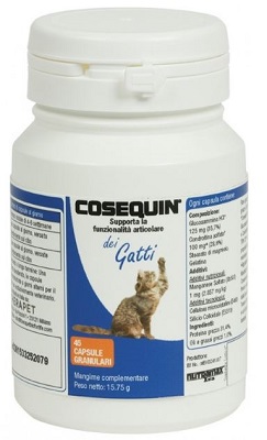 COSEQUIN GATTI 45 CAPSULE - Fontenova srl