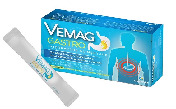 VEMAG GASTRO 20 STICK - Fontenova srl