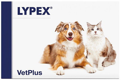 LYPEX 60 CAPSULE - Fontenova srl