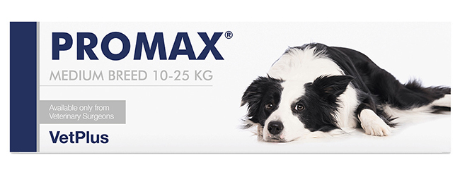 PROMAX MEDIUM BREED 18 ML - Fontenova srl