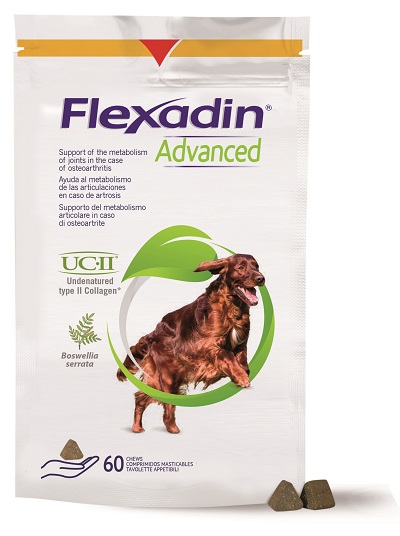 FLEXADIN ADVANCED CANE TUTTE LE TAGLIE 60 TAVOLETTE APPETIBILI - Fontenova srl