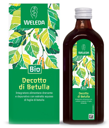 DECOTTO DI BETULLA 250 ML - Fontenova srl