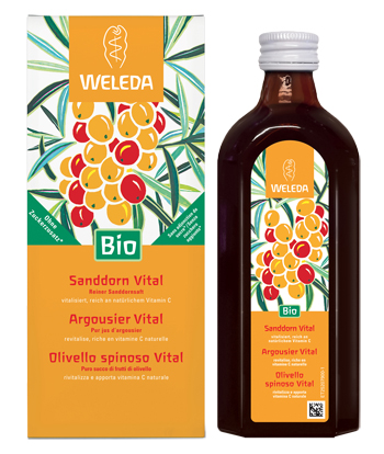OLIVELLO SPINOSO VITAL SUCCO DI FRUTTA 250 ML - Fontenova srl