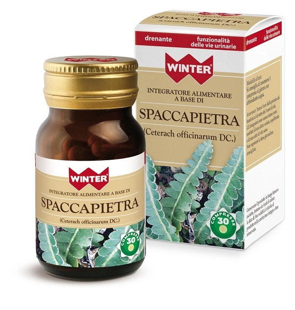 WINTER SPACCAPIETRA 30 COMPRESSE - Fontenova srl