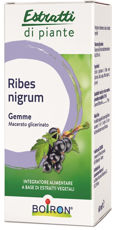 RIBES NIGRUM BOIRON MACERATO GLICERICO 60 ML - Fontenova srl