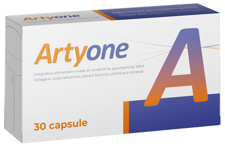 ARTYONE 30 CAPSULE - Fontenova srl