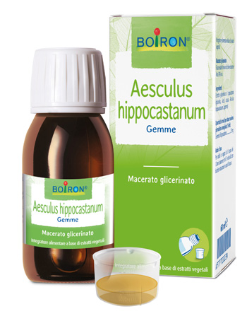 AESCULUS HIPP BOIRON MACERATO GLICERICO 60 ML - Fontenova srl