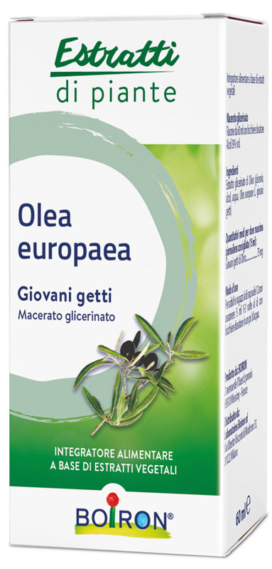 OLEA EUROPAEA BOIRON MACERATO GLICERICO 60 ML - Fontenova srl