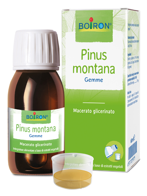 PINUS MONTANA BOIRON MACERATO GLICERICO 60 ML - Fontenova srl
