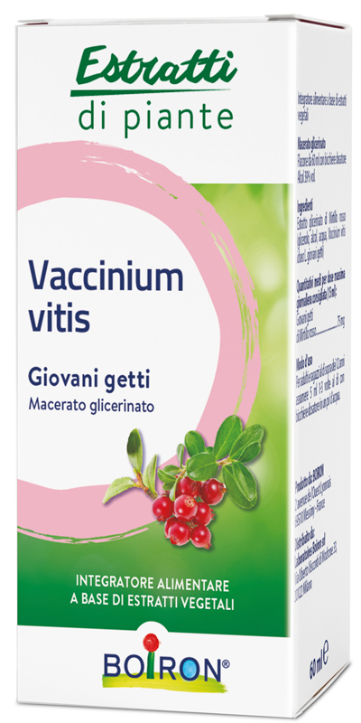 VACCINIUM VITIS MACERATO GLICERICO 60 ML - Fontenova srl