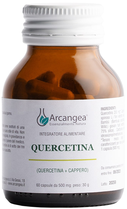QUERCETINA 60 CAPSULE DA 500 MG - Fontenova srl