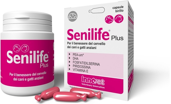 SENILIFE PLUS 30 CAPSULE - Fontenova srl