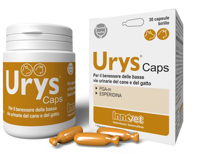URYS CAPS 30 CAPSULE - Fontenova srl