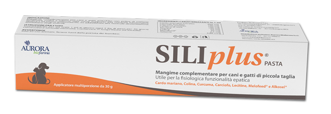 SILIPLUS PASTA 30 G - Fontenova srl