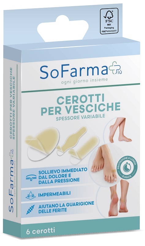 CEROTTO VESCICA ASSORTITI 6 PEZZI SOFARMAPIU' - Fontenova srl